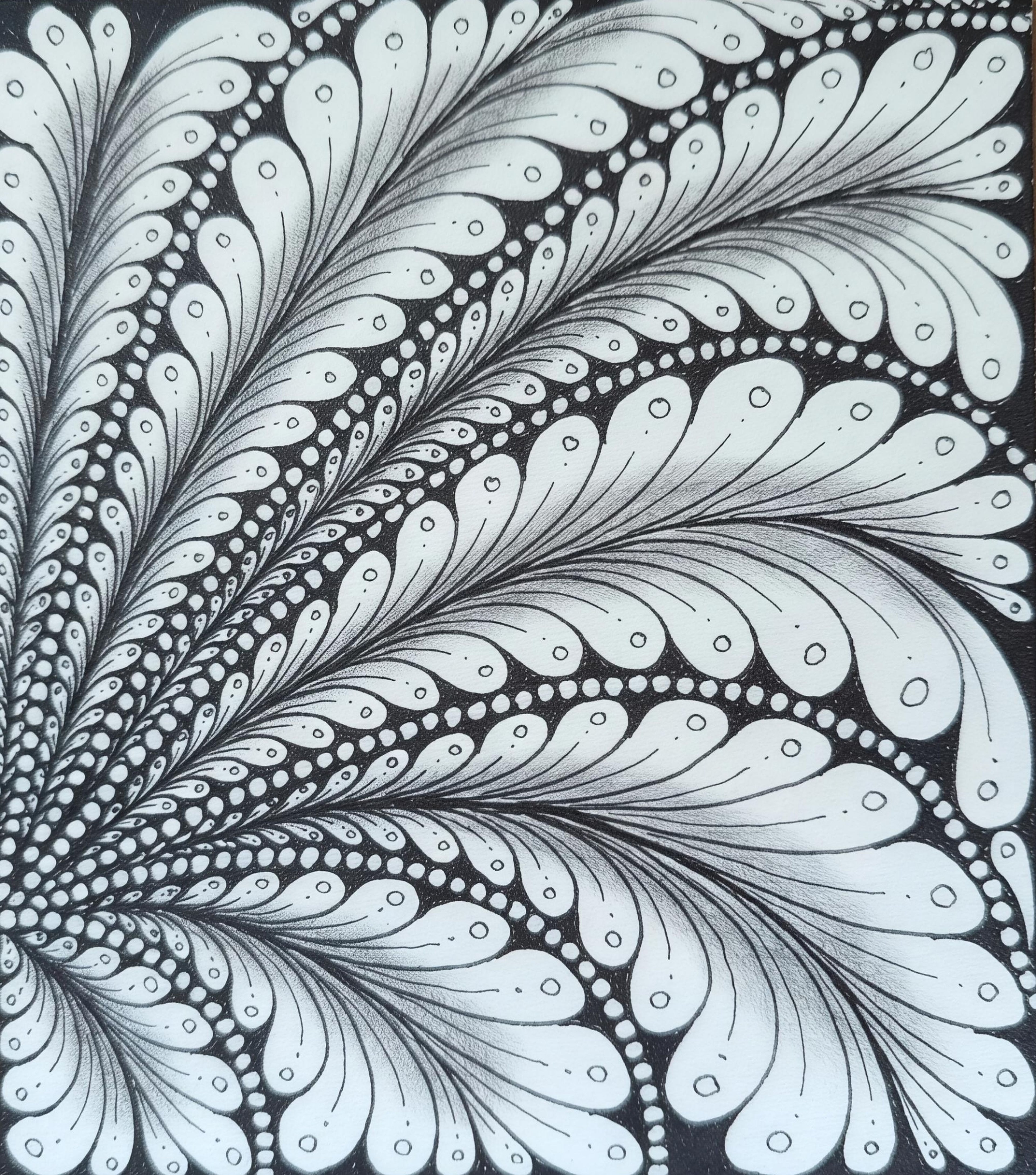 Feather Zentangle — Original hand-drawn black & white art print with dramatic dark background